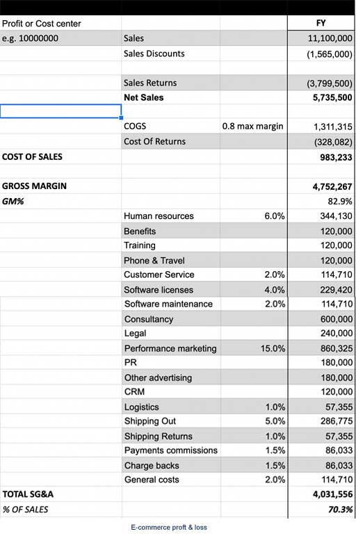 Ecommerce P&L Example