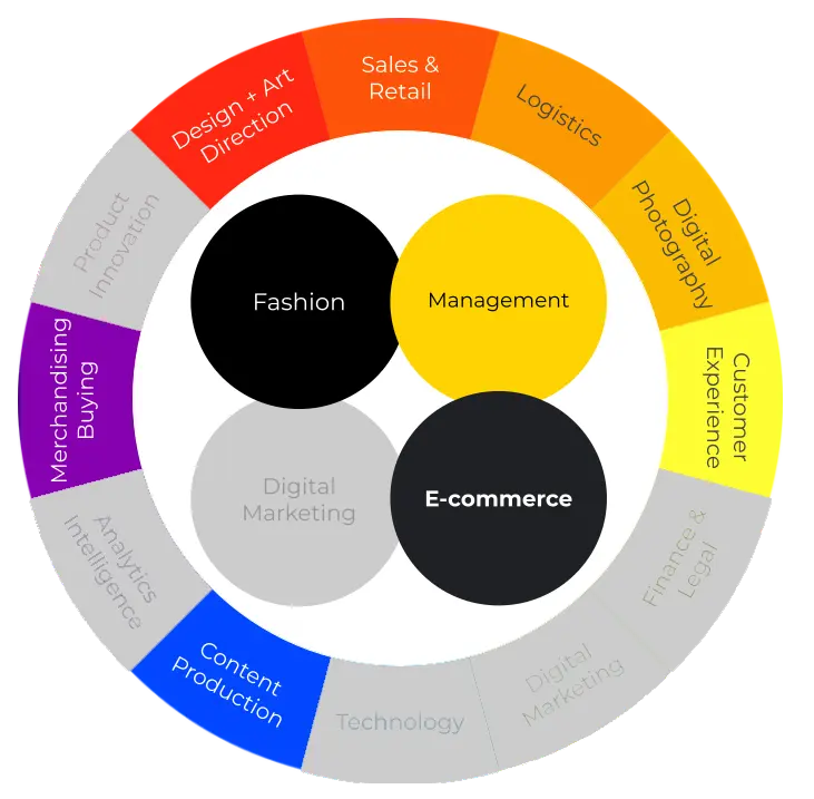 Fashion Ecommerce Competence Model - Digital Fashion Academy (R)