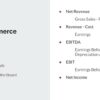 Fashion Ecommerce Course: Financial KPIs, Net Revenue, Gross Margin, EBITDA, EBIT, Net Income